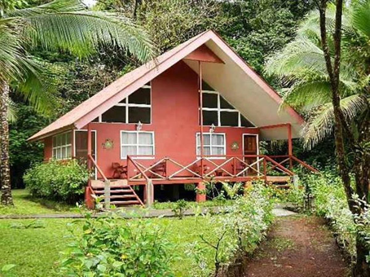 Caribbean Paradise Eco-Lodge Tortuguero Zewnętrze zdjęcie
